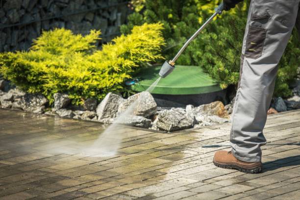 Animal Enclosure Cleaning in Crystal City, TX