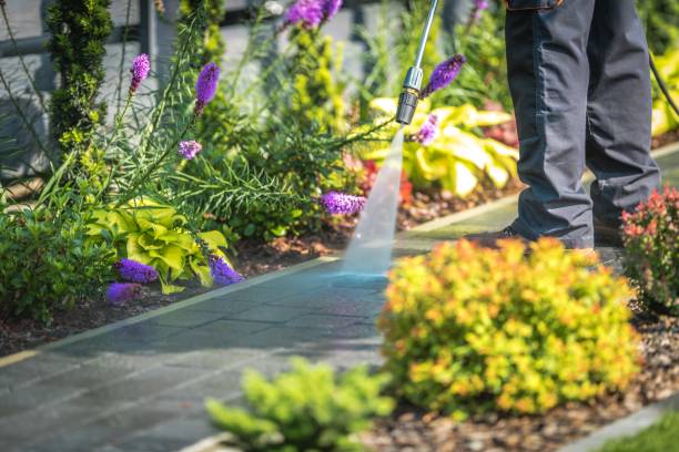 Best Pool Deck Cleaning  in Crystal City, TX