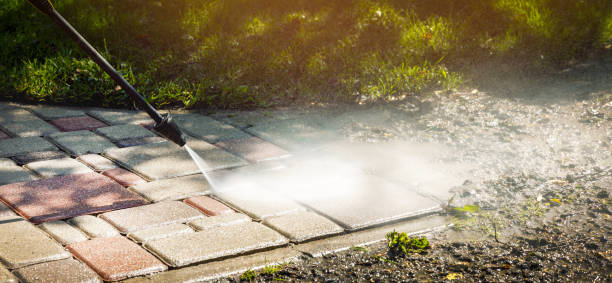Best Pre-Holiday Cleaning  in Crystal City, TX